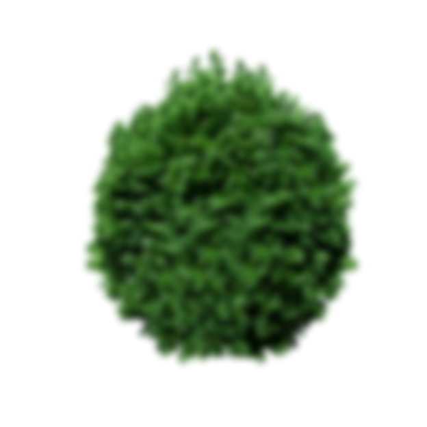 flora